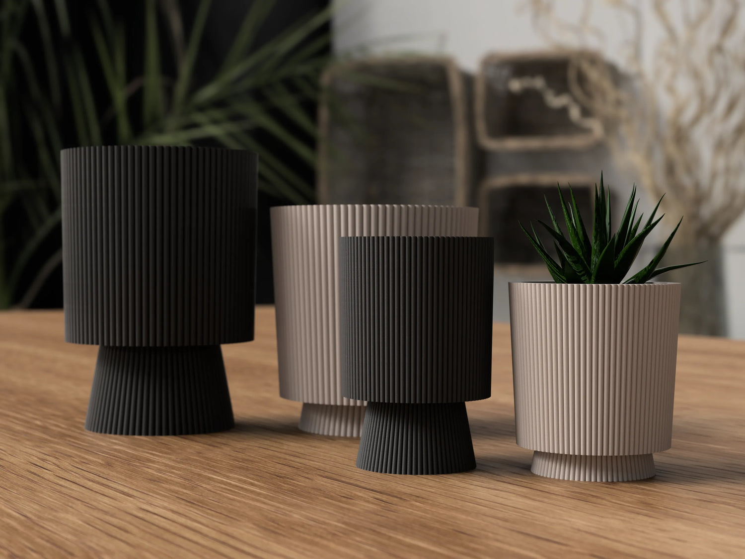 Modern Planters Collection